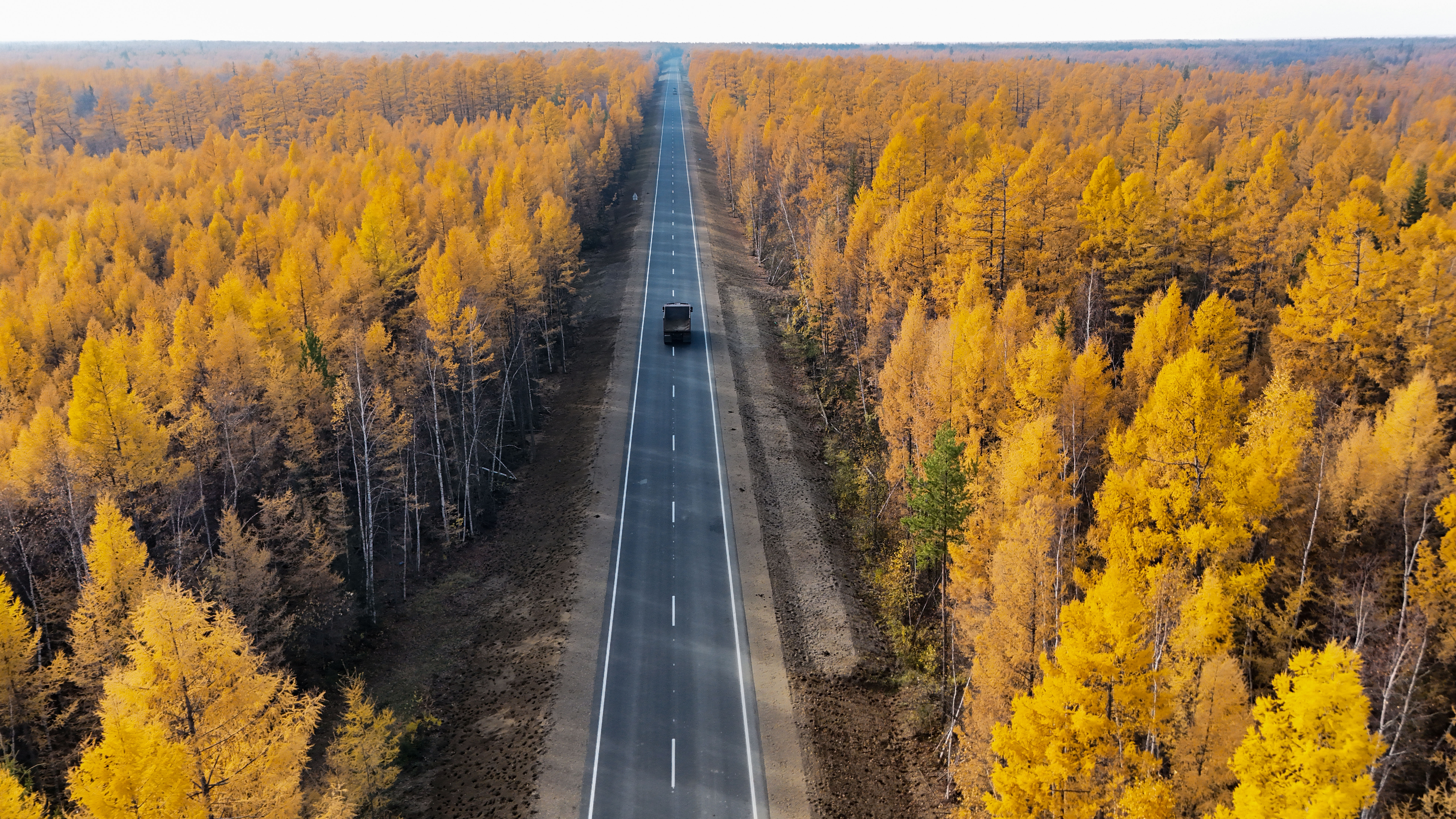 DJI_20260923144635_0080_D копия.jpg